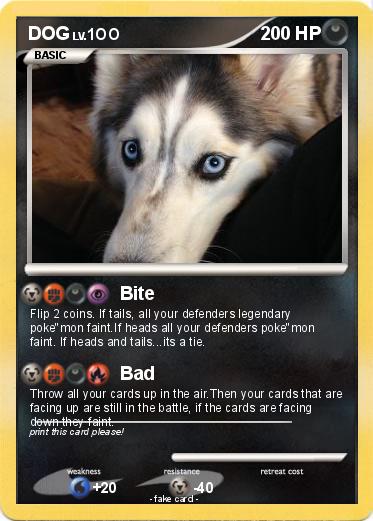 Pokemon DOG