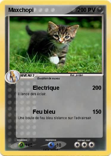 Pokemon Maxchopi