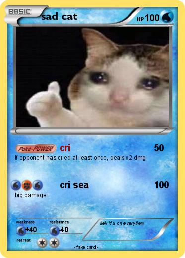 Pokemon sad cat