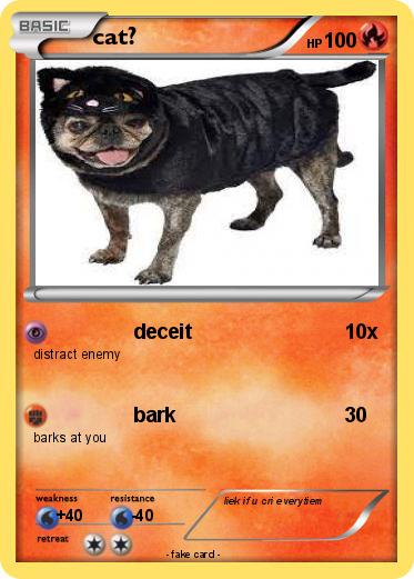 Pokemon cat?