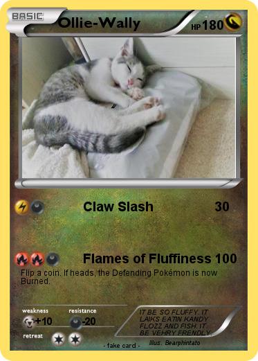 Pokemon Ollie-Wally