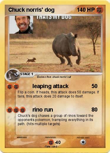Pokemon Chuck norris' dog