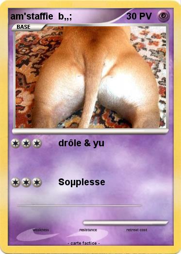 Pokemon am'staffie  b,,;