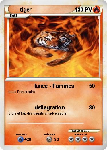 Pokemon tiger