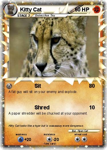 Pokemon Kitty Cat