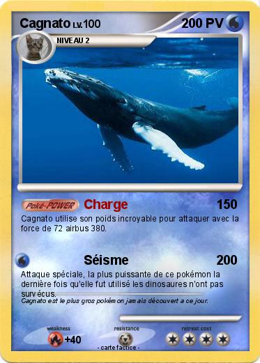 Pokemon Cagnato