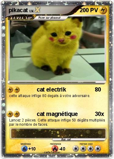 Pokemon pikacat