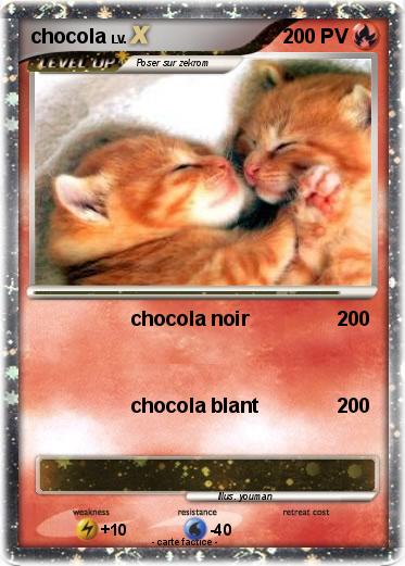 Pokemon chocola
