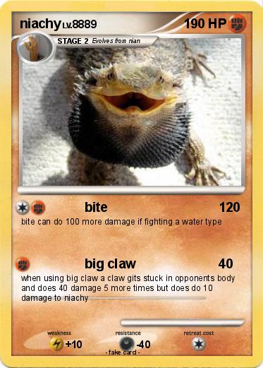 Pokemon niachy