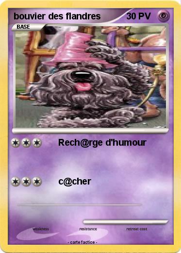 Pokemon bouvier des flandres