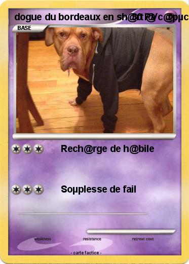 Pokemon dogue du bordeaux en sh@rt @ c@pµce