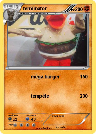 Pokemon terminator