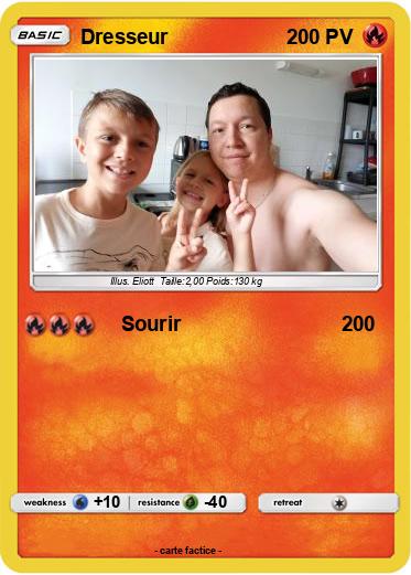 Pokemon Dresseur