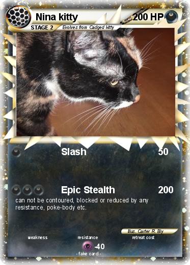 Pokemon Nina kitty