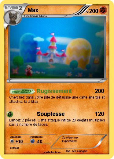 Pokemon Max