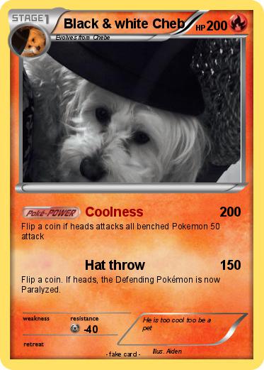 Pokemon Black & white Cheb