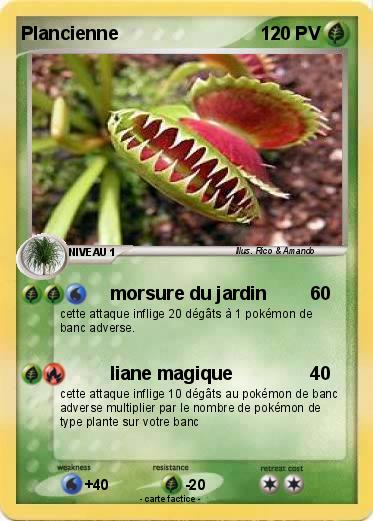 Pokemon Plancienne