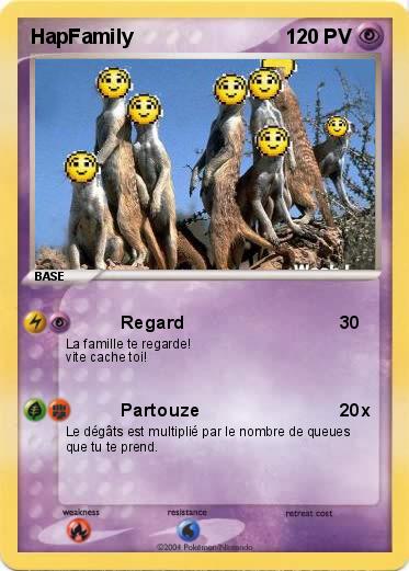 Pokemon HapFamily
