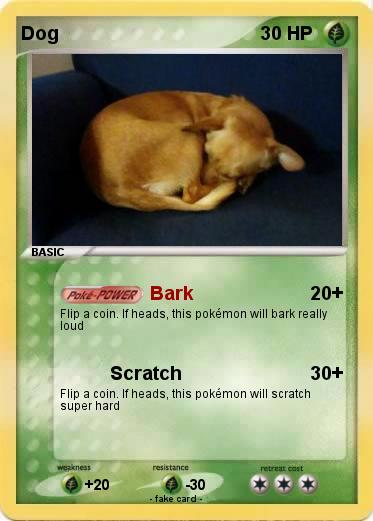 Pokemon Dog