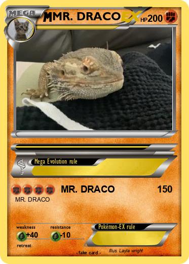 Pokemon MR. DRACO