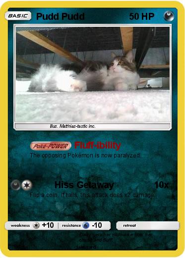 Pokemon Pudd Pudd