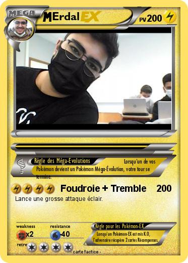 Pokemon Erdal