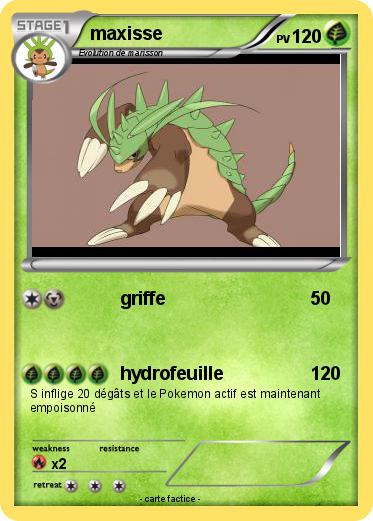 Pokemon maxisse
