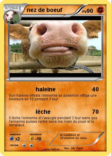 Pokemon nez de boeuf