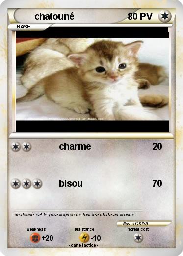 Pokemon chatouné