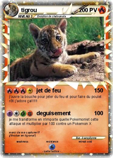 Pokemon tigrou