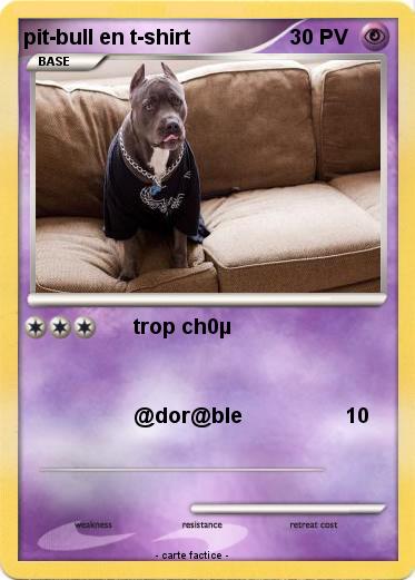 Pokemon pit-bull en t-shirt