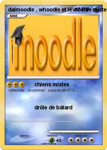 Pokemon dalmoodle , whoodle et lévroodle mixte
