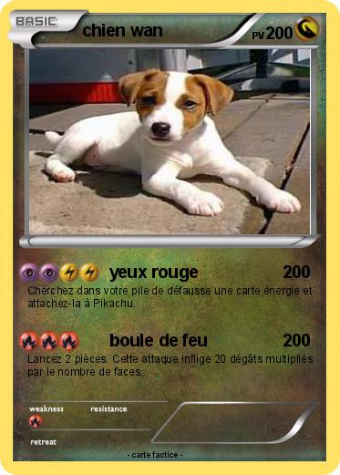 Pokemon chien wan