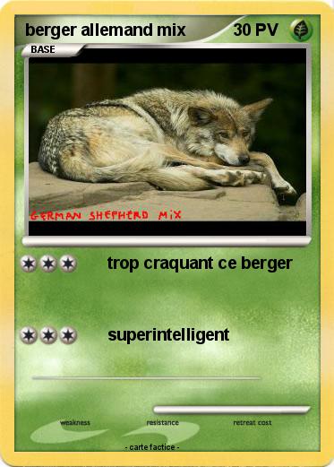 Pokemon berger allemand mix