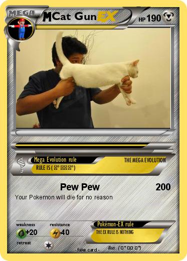 Pokemon Cat Gun