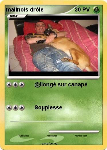 Pokemon malinois drôle
