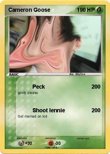 Pokemon Cameron Goose