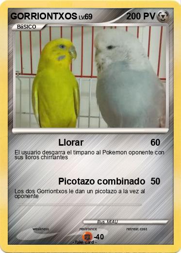 Pokemon GORRIONTXOS