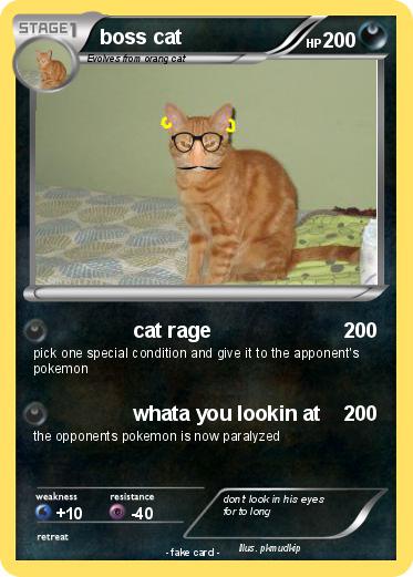 Pokemon boss cat