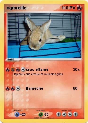 Pokemon ogroreille