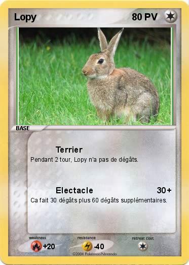 Pokemon Lopy