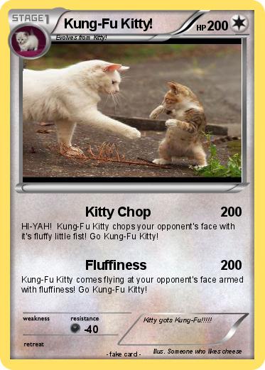 Pokemon Kung-Fu Kitty!