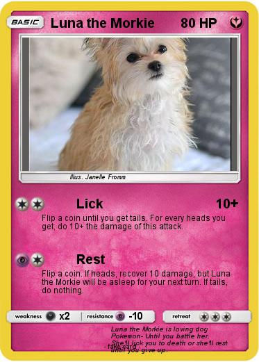 Pokemon Luna the Morkie