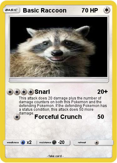 Pokemon Basic Raccoon