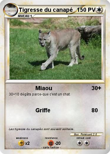 Pokemon Tigresse du canapé