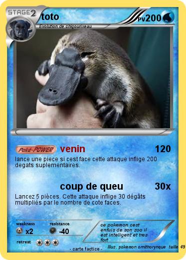 Pokemon toto