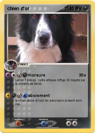 Pokemon chien d'or
