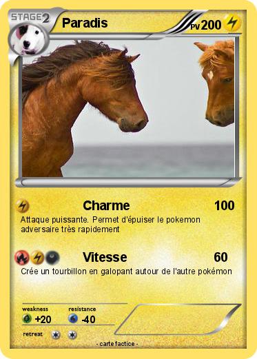 Pokemon Paradis