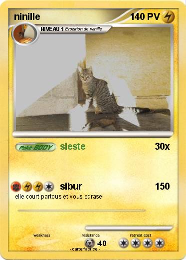 Pokemon ninille