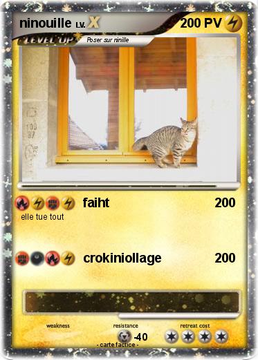 Pokemon ninouille